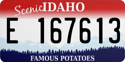 ID license plate E167613