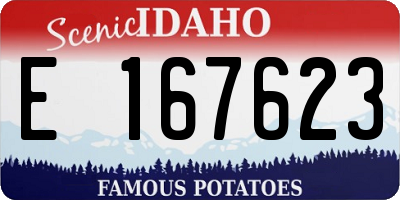 ID license plate E167623