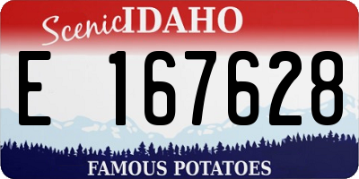 ID license plate E167628