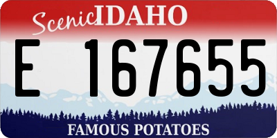 ID license plate E167655