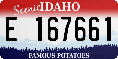 ID license plate E167661