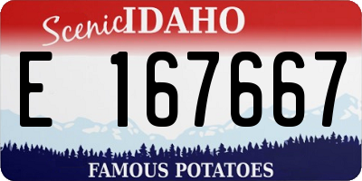 ID license plate E167667