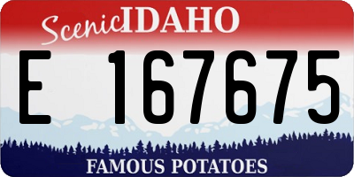 ID license plate E167675