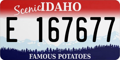 ID license plate E167677