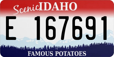 ID license plate E167691