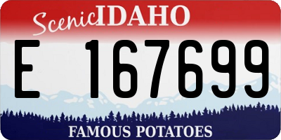 ID license plate E167699