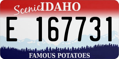 ID license plate E167731