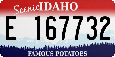 ID license plate E167732