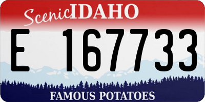 ID license plate E167733