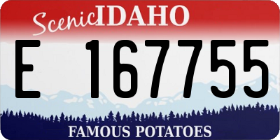ID license plate E167755