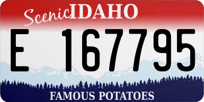 ID license plate E167795