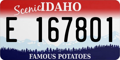 ID license plate E167801