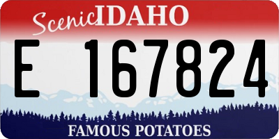 ID license plate E167824