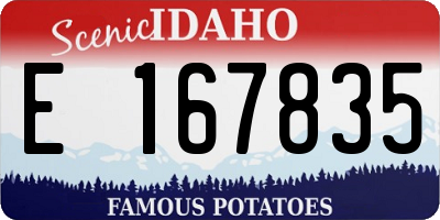 ID license plate E167835