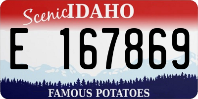 ID license plate E167869