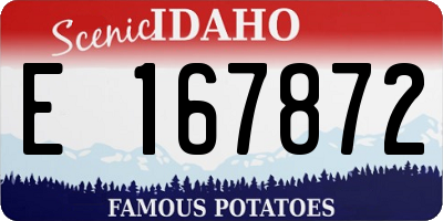 ID license plate E167872