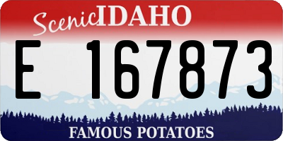 ID license plate E167873