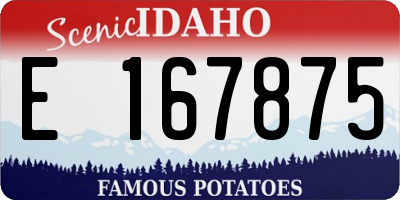 ID license plate E167875