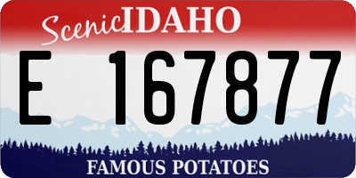ID license plate E167877