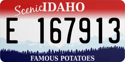 ID license plate E167913