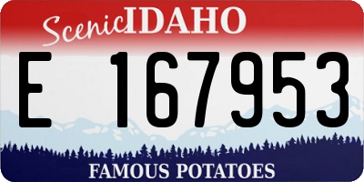 ID license plate E167953