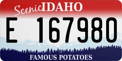 ID license plate E167980