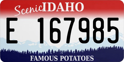 ID license plate E167985