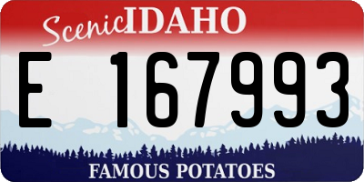 ID license plate E167993
