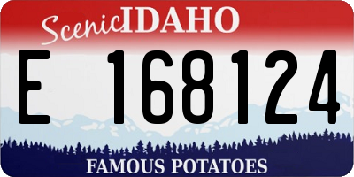 ID license plate E168124
