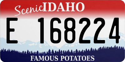 ID license plate E168224