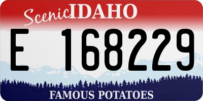 ID license plate E168229