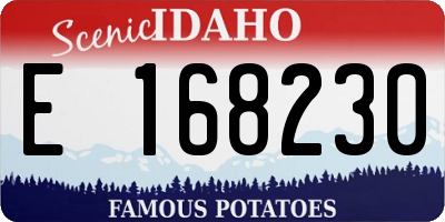 ID license plate E168230