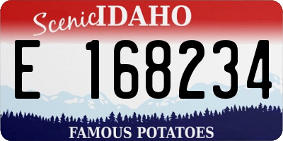 ID license plate E168234