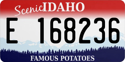 ID license plate E168236