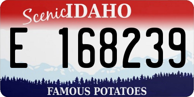 ID license plate E168239