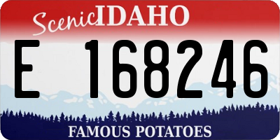 ID license plate E168246