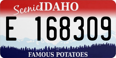 ID license plate E168309