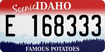 ID license plate E168333