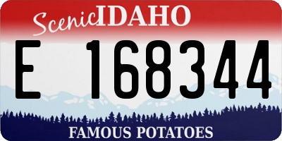 ID license plate E168344
