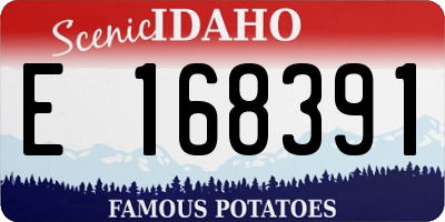 ID license plate E168391