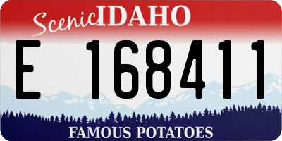 ID license plate E168411