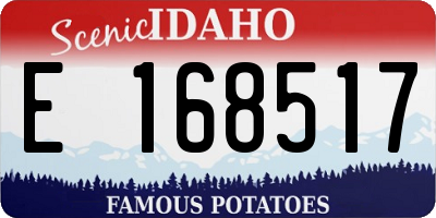 ID license plate E168517