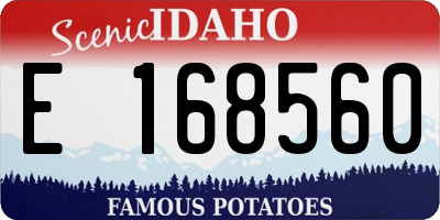 ID license plate E168560