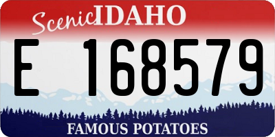 ID license plate E168579
