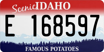 ID license plate E168597