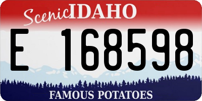 ID license plate E168598