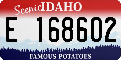 ID license plate E168602