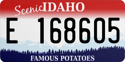 ID license plate E168605