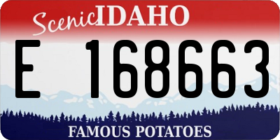 ID license plate E168663