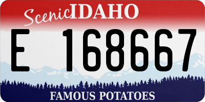 ID license plate E168667